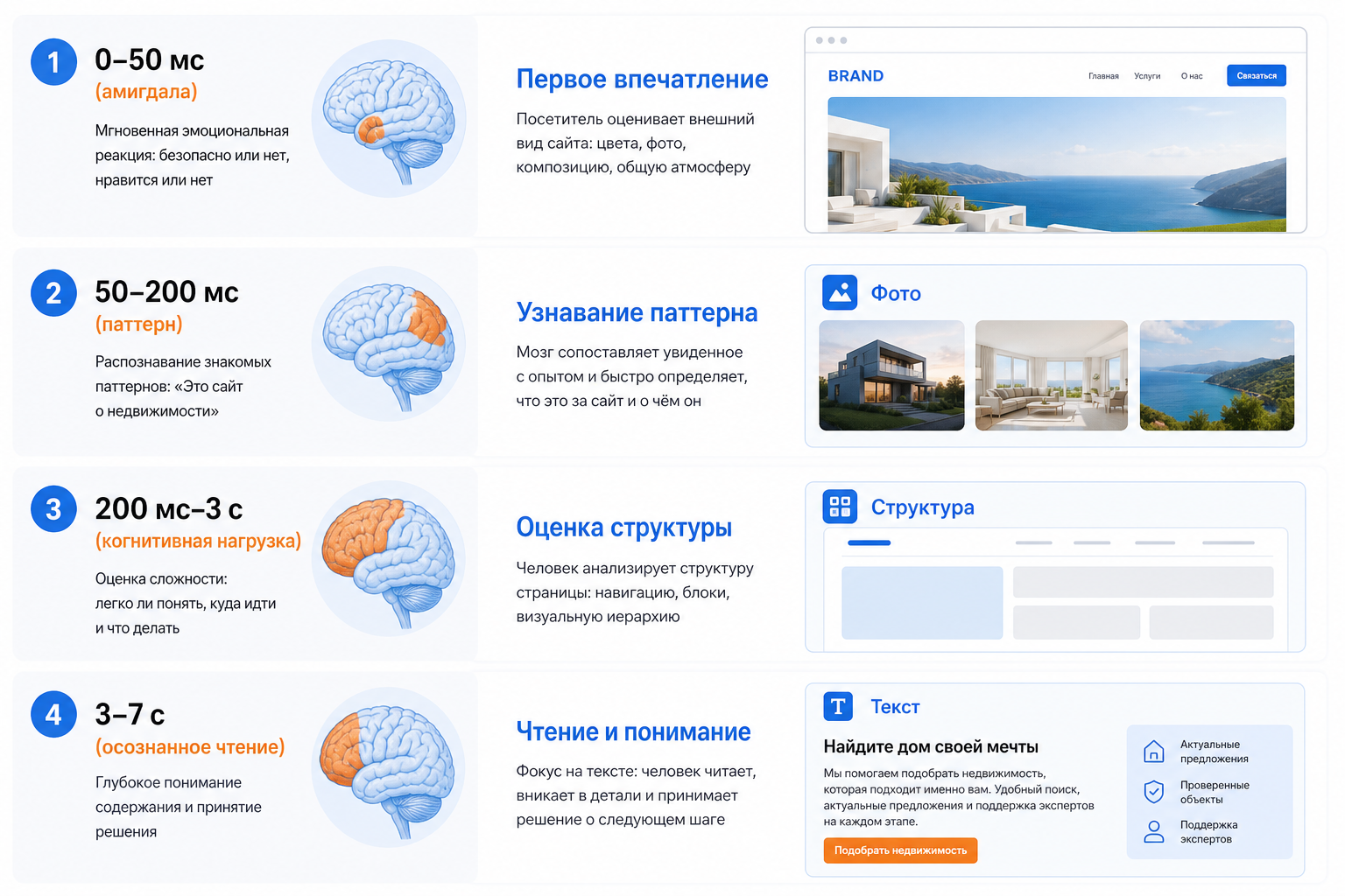 Анатомия решения: что мозг посетителя делает с сайтом до прочтения первого слова